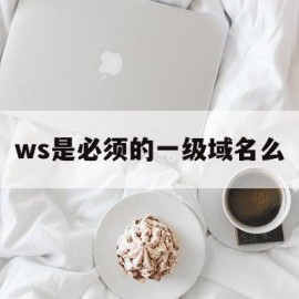 ws是必须的一级域名么(ws是必须的一级域名么为什么)