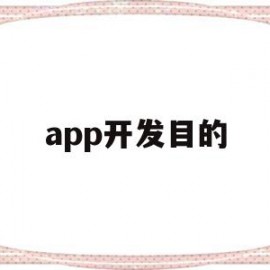 app开发目的(app开发的主要技术)