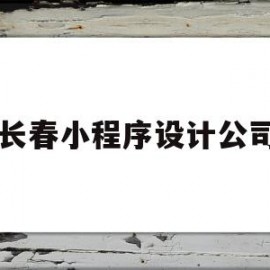 长春小程序设计公司(长春小程序设计公司招聘)