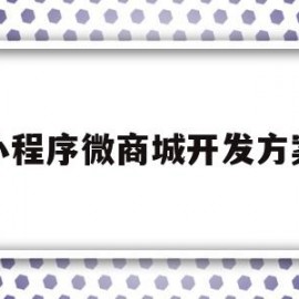 小程序微商城开发方案(小程序微商城开发方案设计)