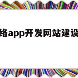 网络app开发网站建设价格(网站app开发公司)