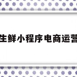 生鲜小程序电商运营(生鲜小程序电商运营怎么做)