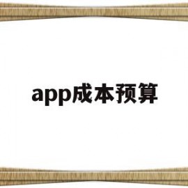 app成本预算(app成本预算外包)