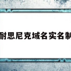 耐思尼克域名实名制的简单介绍