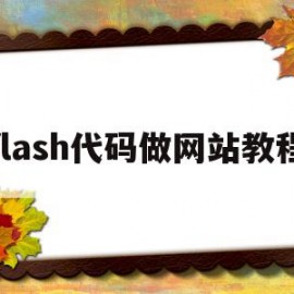 flash代码做网站教程(flash代码制作按钮教程)