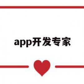 app开发专家(软件开发行业专家)