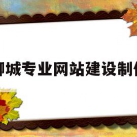 聊城专业网站建设制作(聊城网络科技有限公司有哪些)