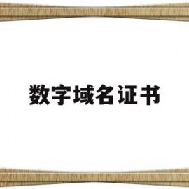 数字域名证书(数字域名值钱吗)