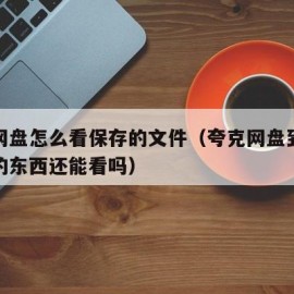 夸克网盘怎么看保存的文件（夸克网盘到期后保存的东西还能看吗）