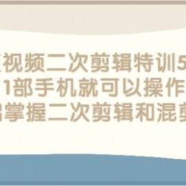 短视频二次剪辑特训5.0，1部手机就可以操作，0基础掌握二次剪辑和混剪技术