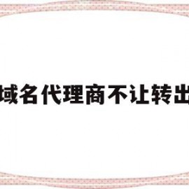 域名代理商不让转出(域名代理服务是什么意思)