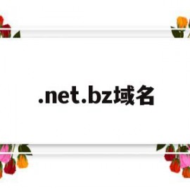 .net.bz域名(netlify 域名)