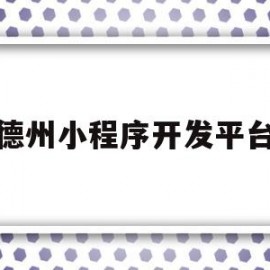 德州小程序开发平台(德州微信小程序)