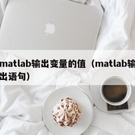 matlab输出变量的值（matlab输出语句）