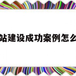 网站建设成功案例怎么写(网站建设成功案例怎么写范文)