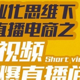 工业化思维下的直播电商之短视频锤爆直播间，听话照做执行爆单