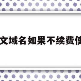 中文域名如果不续费使用(中文域名如果不续费使用怎么办)