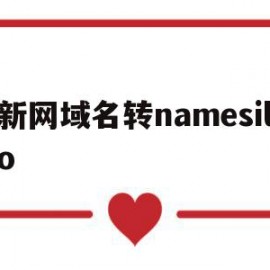 新网域名转namesilo(namesilo域名购买教程)