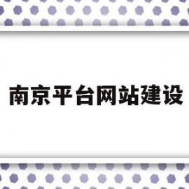 南京平台网站建设(南京建设网站的公司)