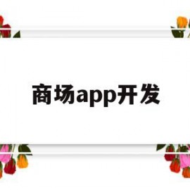 商场app开发(商场app开发公司)