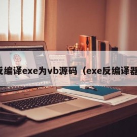 反编译exe为vb源码（exe反编译器）