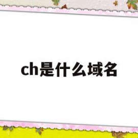 ch是什么域名(ch域名是哪个国家)