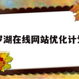 罗湖在线网站优化计划的简单介绍