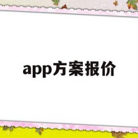 app方案报价(app方案策划书)