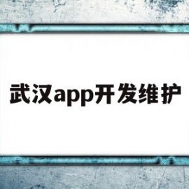 武汉app开发维护的简单介绍