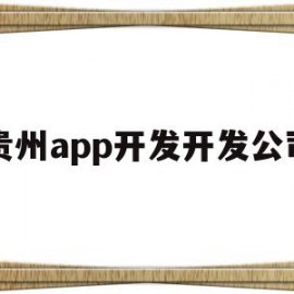 贵州app开发开发公司(贵州app开发开发公司有哪些)