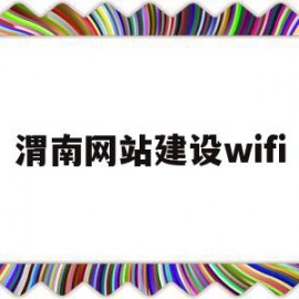 渭南网站建设wifi(渭南网站建设方案详细地址)