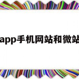 app手机网站和微站(手机微网站和门户网站的区别)