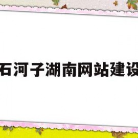 石河子湖南网站建设(新疆石河子政府网官网首页)