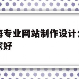 上海专业网站制作设计公司哪家好(上海专业网站制作设计公司哪家好些)