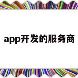 app开发的服务商(app开发用什么服务器比较好)