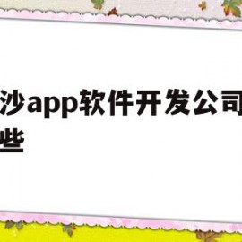 长沙app软件开发公司有哪些(长沙app软件开发公司有哪些公司)