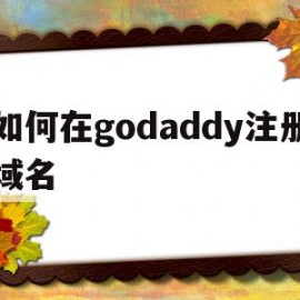 如何在godaddy注册域名(godaddy域名注册技术非常不错)