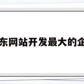 山东网站开发最大的企业(山东网站开发最大的企业排名)