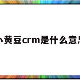 小黄豆crm是什么意思(小黄豆crm是什么意思呀)