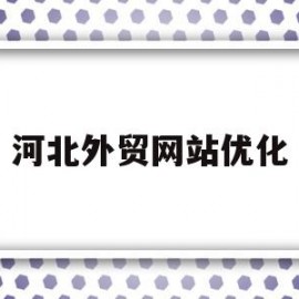 河北外贸网站优化(河北有几家公司做外贸网站)