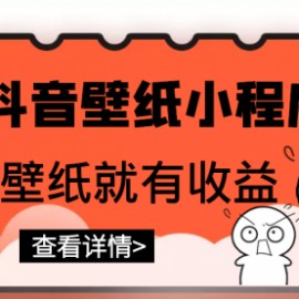 最新抖音壁纸小程序项目，上传壁纸就有收益