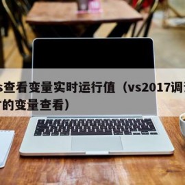 vs查看变量实时运行值（vs2017调试时的变量查看）