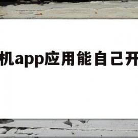 手机app应用能自己开发吗(手机app应用能自己开发吗安卓)