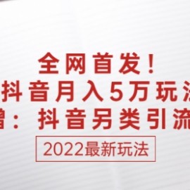 全网首发！我抖音月入5万玩法？附赠：抖音另类引流思路