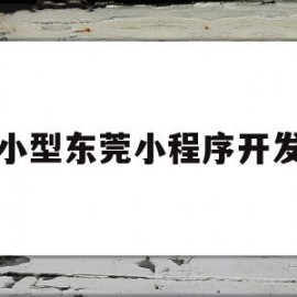 小型东莞小程序开发(东莞小程序开发解决方案)