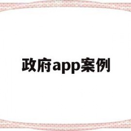 政府app案例(政府app存在问题)