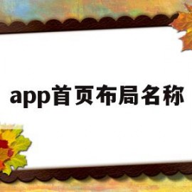 app首页布局名称(app首页布局名称怎么改)