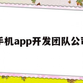 手机app开发团队公司(手机app开发团队公司名称)