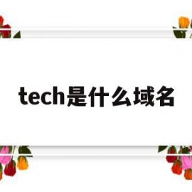 tech是什么域名(technology域名)