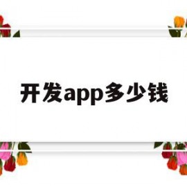 开发app多少钱(开发个app软件多少钱)